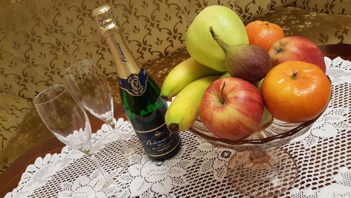 Pension Napoleon Karlovy Vary Dış mekan fotoğraf